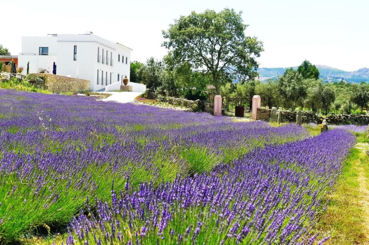 Quinta Das Lavandas Castelo de Vide Ngoại thất bức ảnh